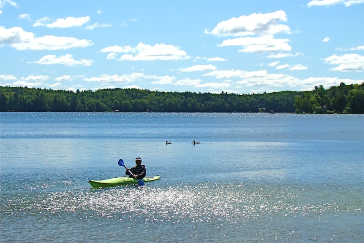 Kayak&Loons