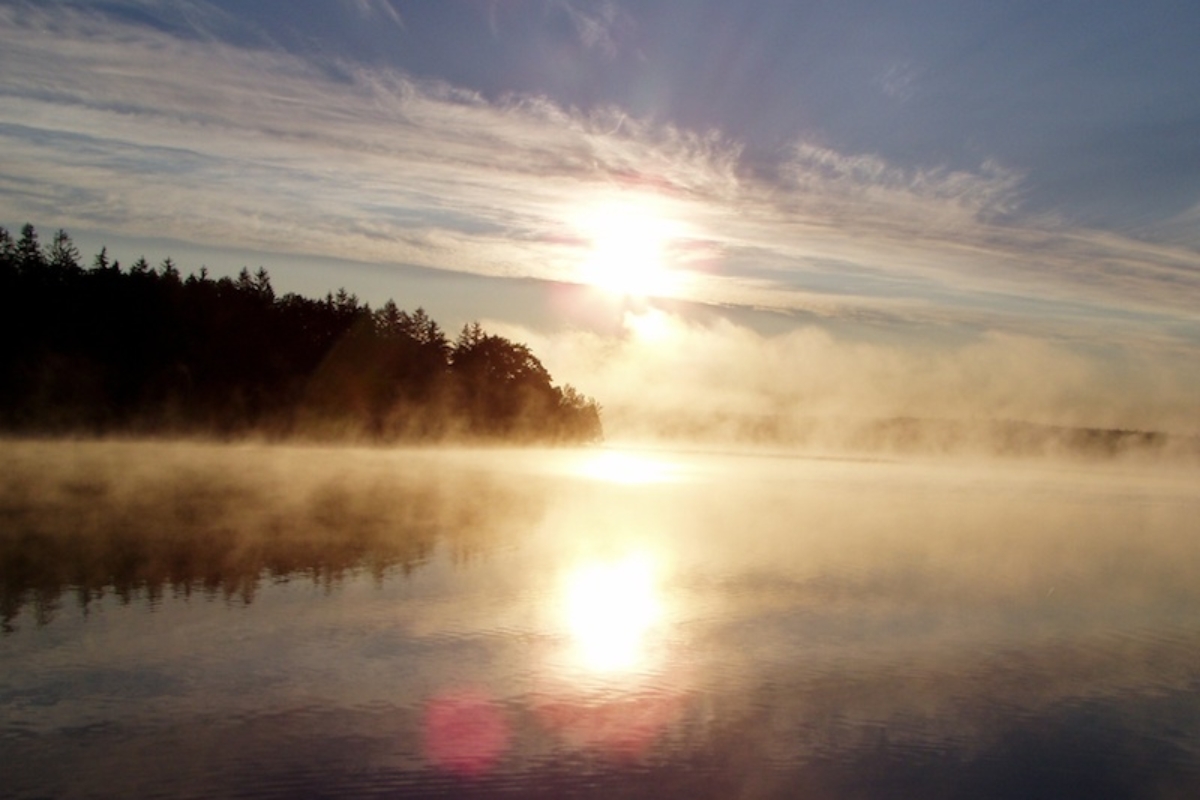 Misty Sunrise